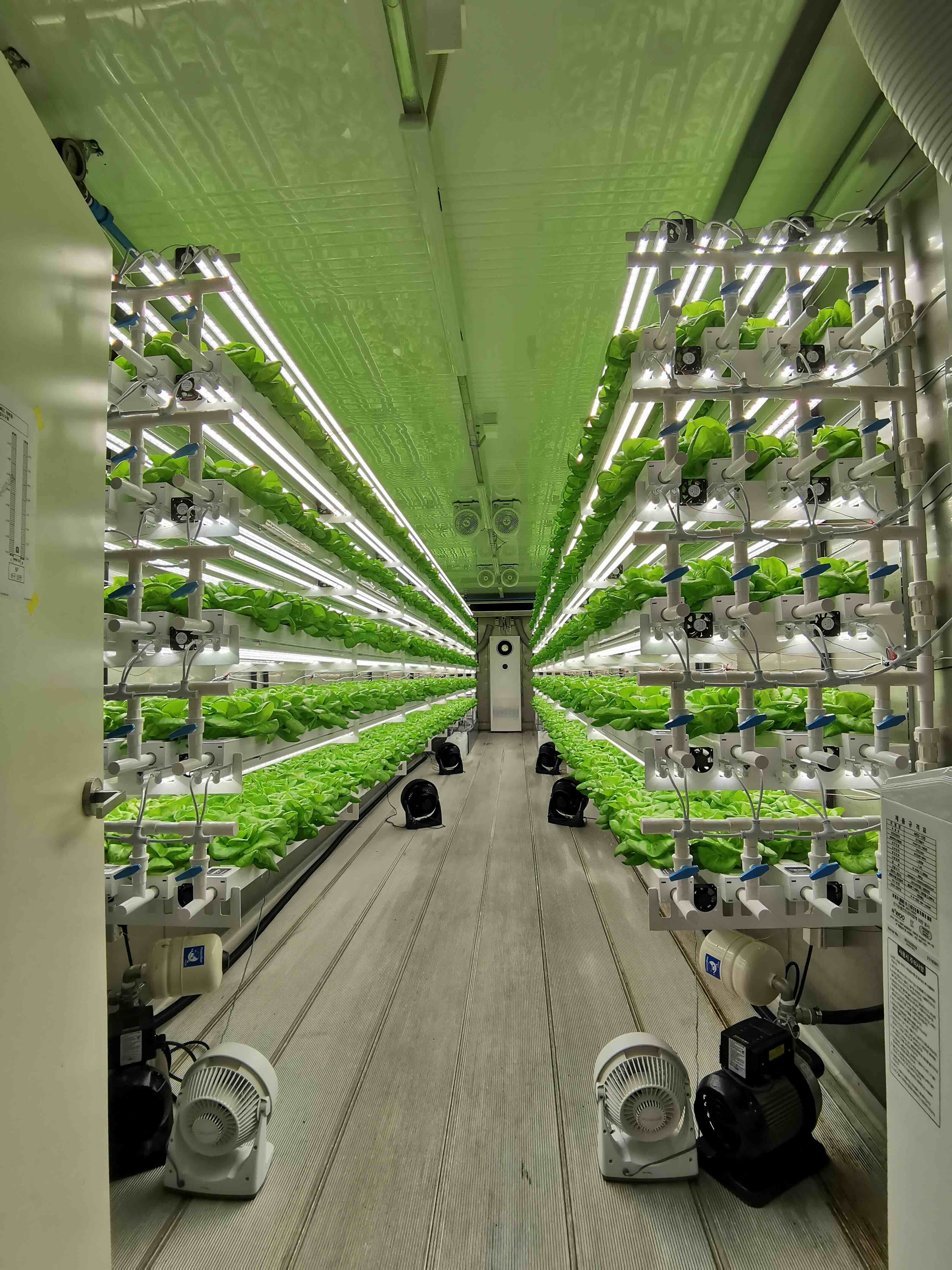 Esempio di Vertical Farm in Corea del Sud