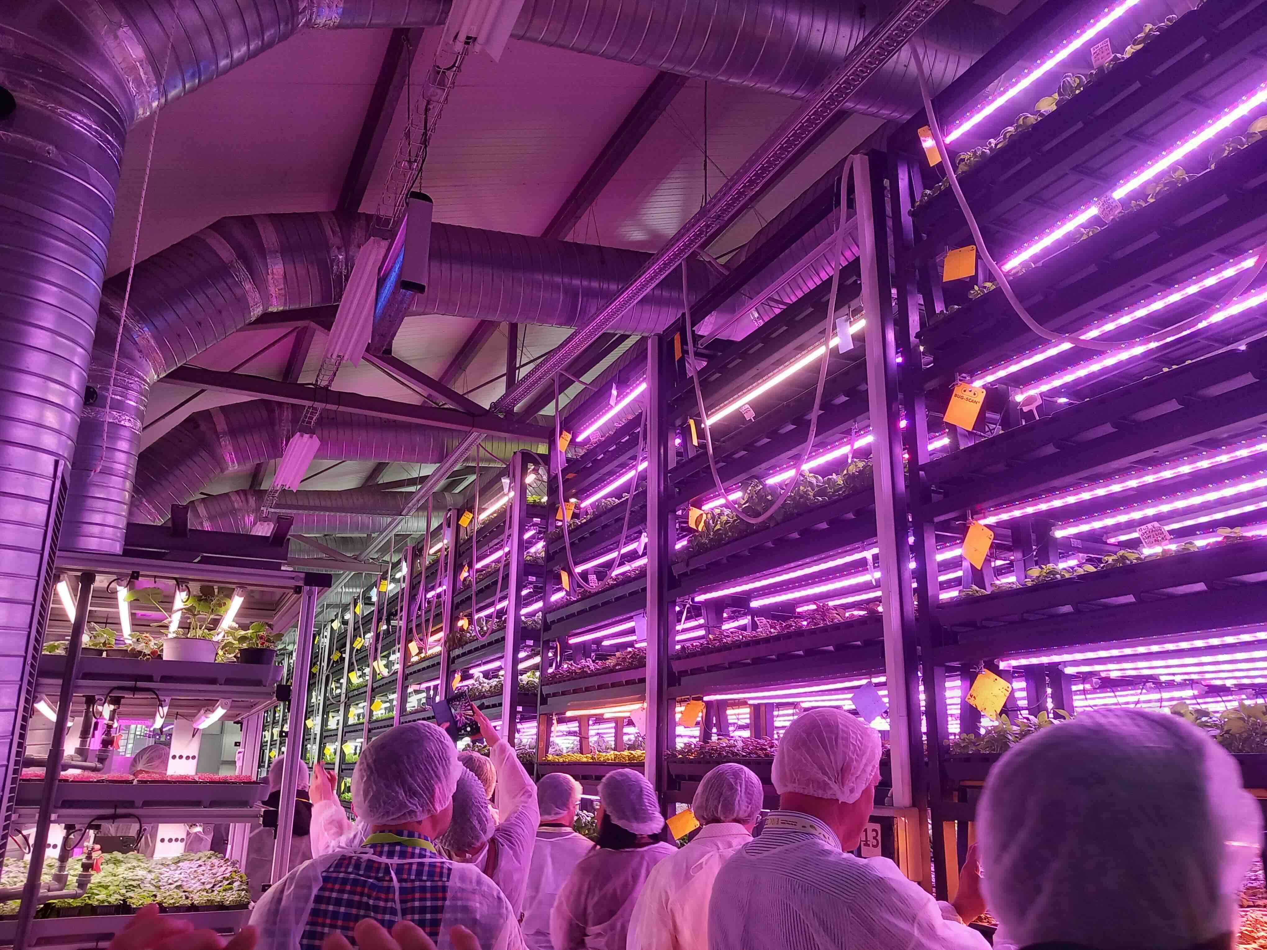 Vertical Farm in Romania