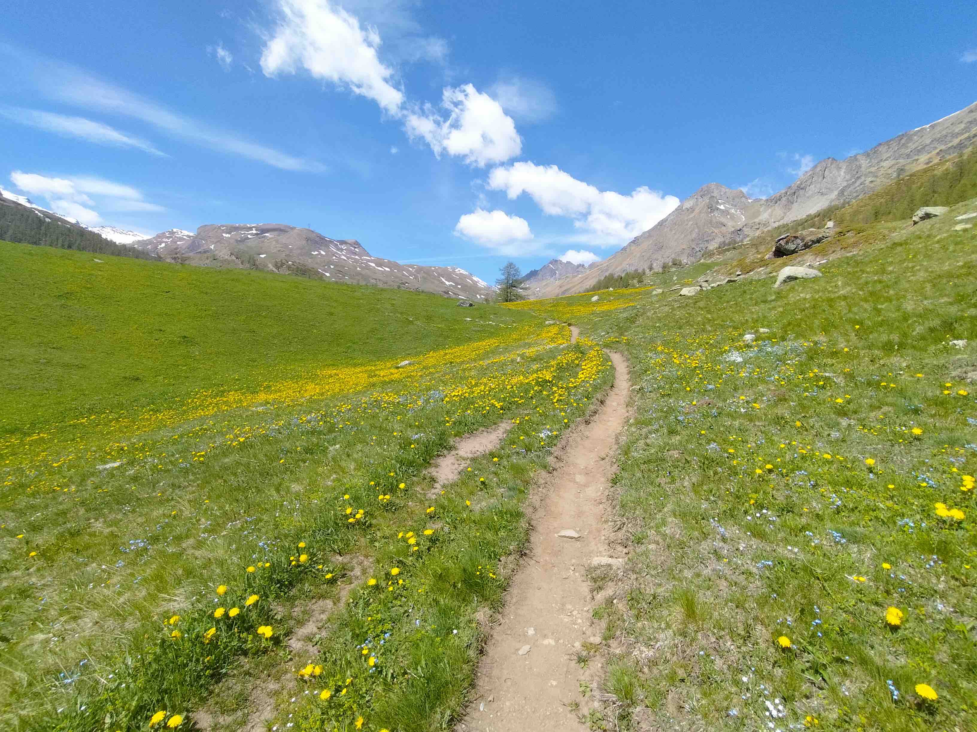 foto di un sentiero di montagna